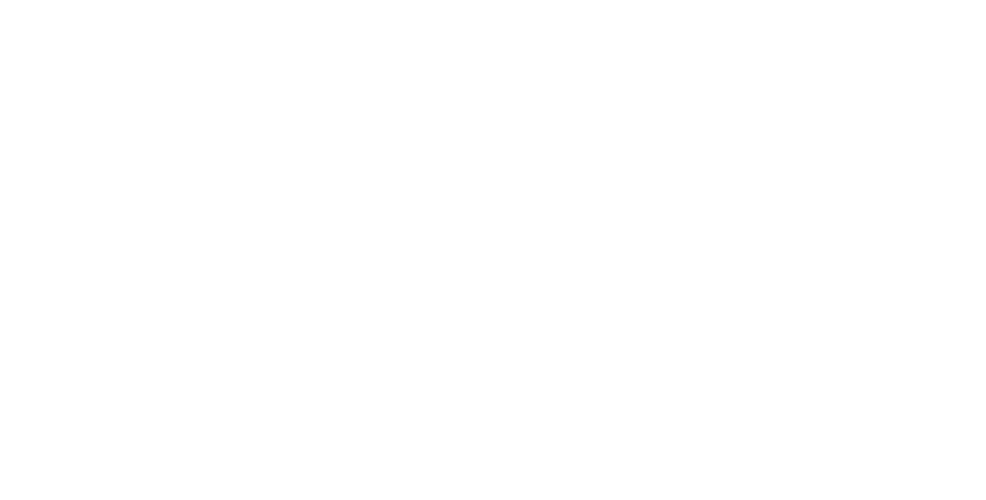 Revolution Guitars